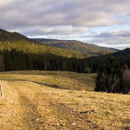 Gemuetliche Ferienwohnung - Mitten Im Schwarzwald Bernau im Schwarzwald Ngoại thất bức ảnh