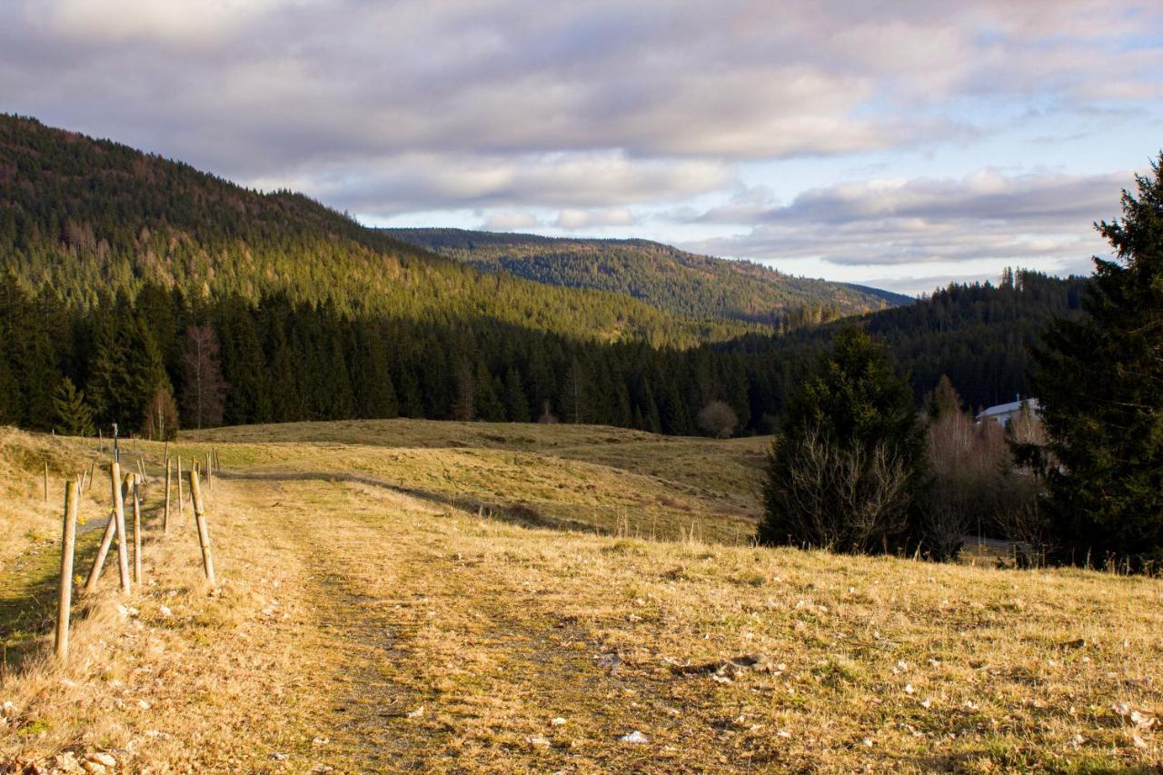 Gemuetliche Ferienwohnung - Mitten Im Schwarzwald Bernau im Schwarzwald Ngoại thất bức ảnh
