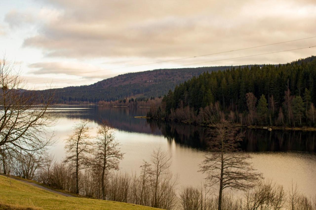 Gemuetliche Ferienwohnung - Mitten Im Schwarzwald Bernau im Schwarzwald Ngoại thất bức ảnh